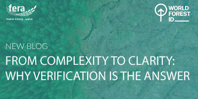 From Complexity to Clarity: Why Verification is the Answer