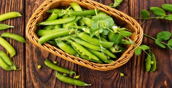 Pea seed-borne mosaic virus by ELISA - Seeds