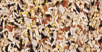 Inorganic Arsenic (iAs)