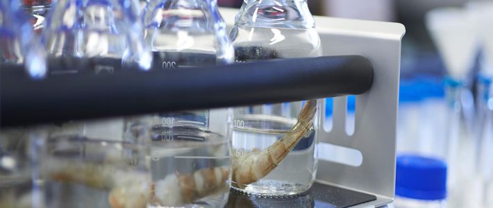 Polyphosphates Testing