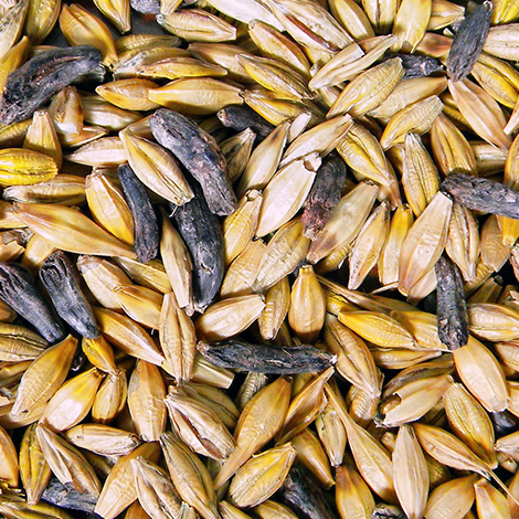 Ergot alkaloids