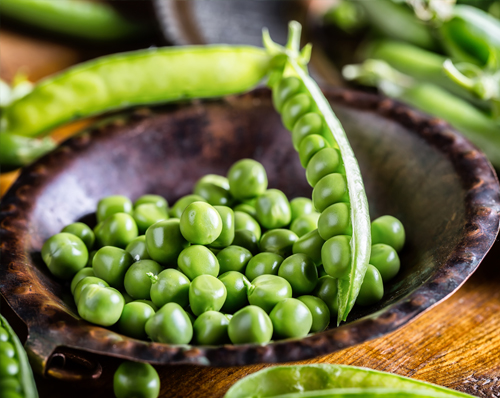 Pea seed-borne mosaic virus by ELISA - Seeds