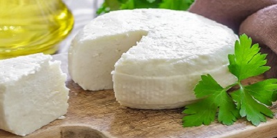 Food Safety Testing