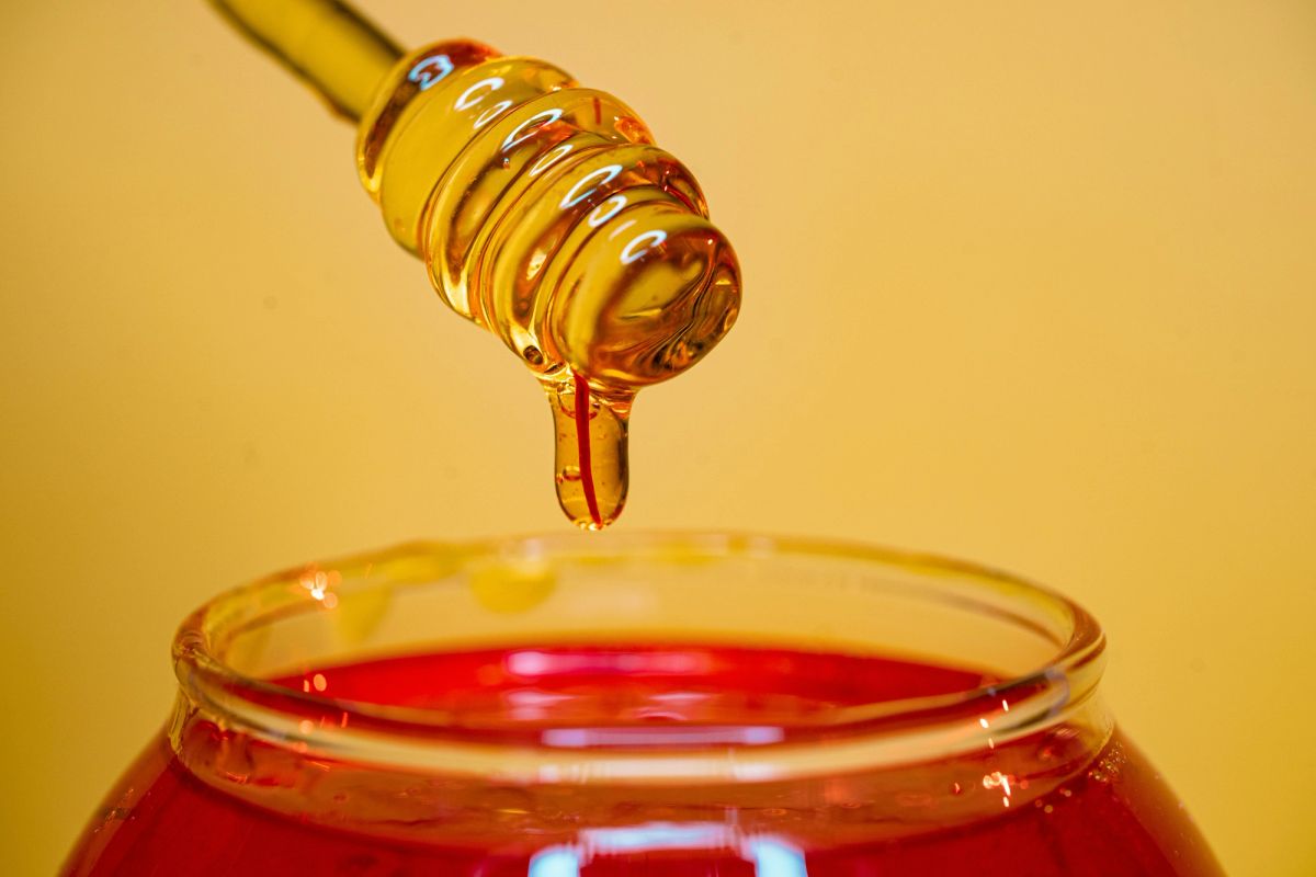 food authenticity testing