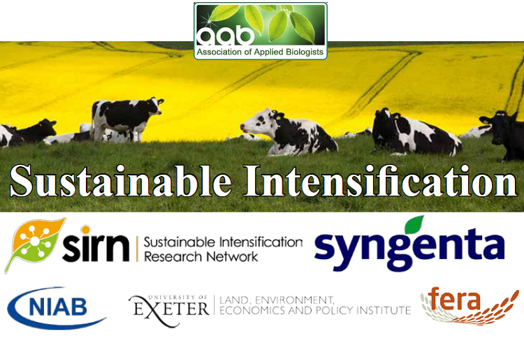 Sustainable Intensification Poster